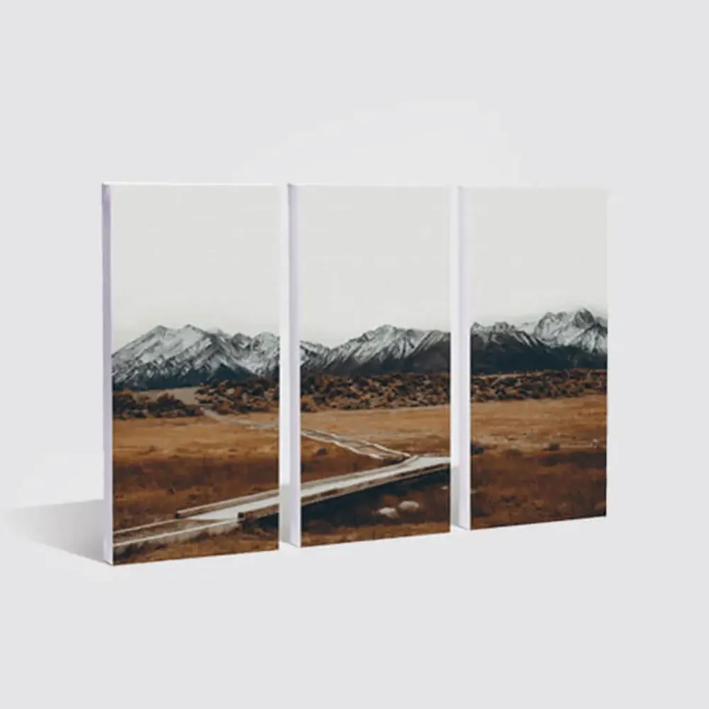 Canvas alb din polyester pentru reproduceri artistice - TPC 2330-trimax