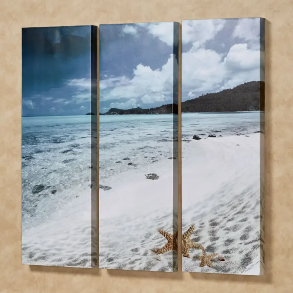 Canvas alb din polyester pentru reproduceri artistice - TPC 2330-trimax