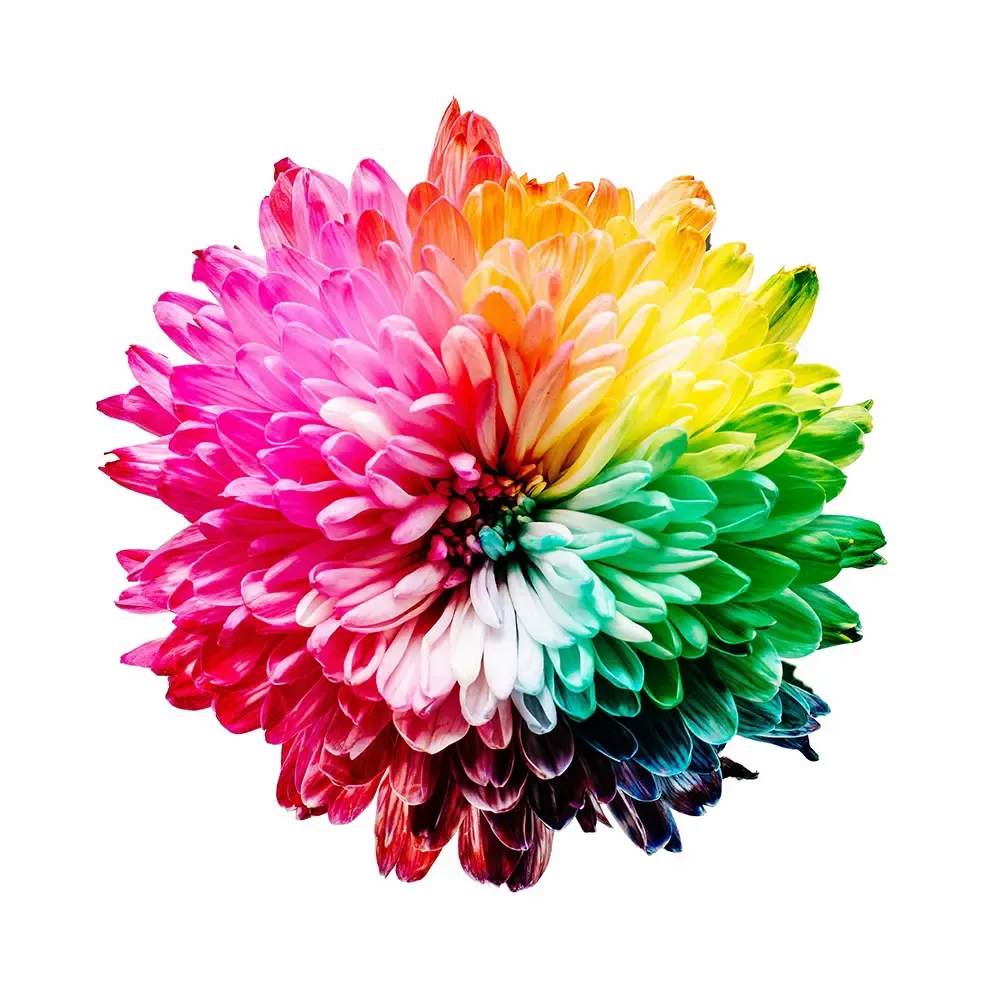 Cartuş de cerneală Latex HP 831 de 775ml-trimax