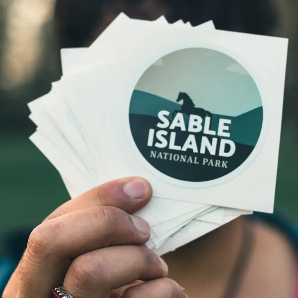 Folie Adezivă Albă pentru Copiatoare Laser - CLP Adhesive - P WO FOLEX®-trimax