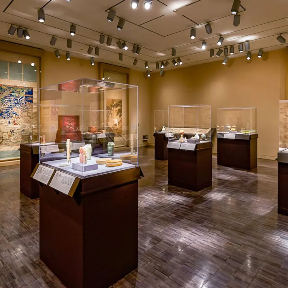 Placă acrilică Plexiglas Transparent/Translucent-trimax