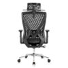 Scaun Ergonomic Lukas-H, negru, spatar mesh, translatie sezut, spatar si suport lombar reglabil